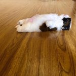 [드루와] 이 글 본 <b>판녀</b>