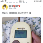 우리나라 <b>사이비</b>가 안 망하는 이유