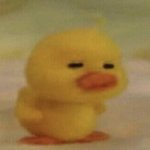 [모두드루와] 근대 외모지상주의 남주랑 노랑머리랑 사귐???