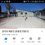 [강아지] <b>공터</b>의 재발견
