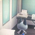 [드루와] 우리 <b>동숲</b> 마을에 잭슨이있음