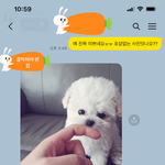 [꼭조언부탁] 애견분양샵의 사기분양