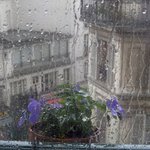 청량하고 푸르른 여름의 분위기들. 계절별 분위기