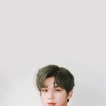 [강다니엘] 강다니엘 <b>이</b> <b>착장</b>