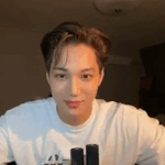 실시간 <b>카이</b>가 만든 레고