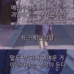 [드루와] 학교 가기 싫어서 <b>게보린</b> 먹지 마