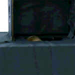 <b>엔터</b>톡 <b>타</b>팬들 다 고마워