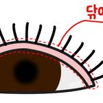 얘들아 너네 눈기름 나 믿고 한번만 닦아보셈ㅇㅇ