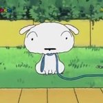 [19] 이정도면 골반 넓은거야?