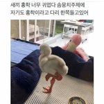 [댓글부탁해] 관리형 독서실 추반해주면 짝남한테 연락옴