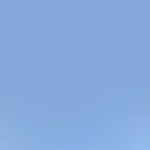 [댓글부탁해] 수의<b>예과</b> vs 경영학과