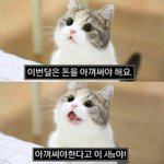 [댓글부탁해] 애들아 <b>회색</b> 운동화가 갖고 싶은데
