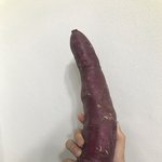 [이것좀봐줘] 야 이거봐.....
