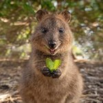 [방탄소년단] 머글인데 슙디 꿀에펨