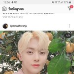 황민현 <b>이</b> 사진 개미<b>침</b>