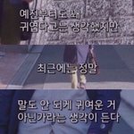[드루와] 떡볶이 <b>전자</b>레인지에 돌렷는데 ㅈㄴ맛없어
