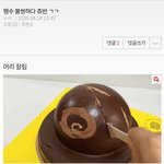 [댓글부탁해] 이런거 동물학대에 해당되지??신고됨?