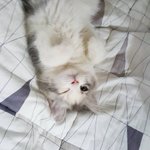 나 개 찐친구랑 썸탄다
