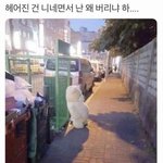 [19] 랜쳇 해본 애들 있냐??