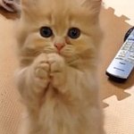 [드루와] <b>쿠션</b> 추천해주면 짝남한테 고백받음