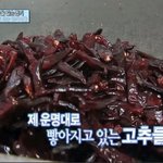 남자를 혐오하는 내친구