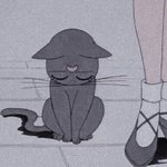[19] 근데 너네 있잖아
