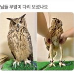 내 눈 화<b>장어</b>케할까??