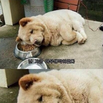 [NCT] 요즘 슴 곡 잘뽑는것같지않냐