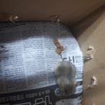 [NCT] <b>극</b>ㅅㄷ)얘들아 나