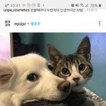 [꼭조언부탁] +)후기 ))2년전 헤어진 전남친 연락왔어