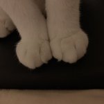 [추반] 너 <b>얼</b><b>평</b>하는 남친vs너 <b>얼</b><b>평</b>하는 친구