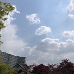 이런 날 <b>쓰레</b>빠 끌고 편의점 가는 나