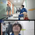 길고양이랑 친해지는 과정을 보는 듯한 아이돌
