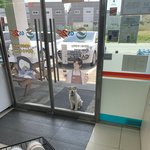 [<b>백구</b>] 편순이가 힘내는법