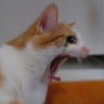 <b>팝송</b> 추천해 준 <b>판</b>녀!!