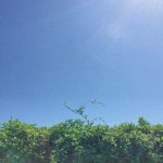 [댓글부탁해] 근데 왜 <b>자살</b>하는 사람들은