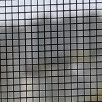 비오는거 찍었는데 개잘찍힘