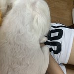 ㅇㄴ 공부해야하는데