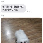 [댓글부탁해] 너흰 기초화장 순서 어떻게 돼?
