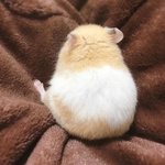 [드루와] 나도 쓴다 아이돌 띵곡들