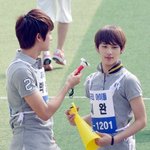 [알페스] 덩케처<b>돌이들</b> 필수코스