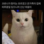 [댓글부탁해] 나 이고 부정수강으로 <b>간주</b>되냐얘들아?