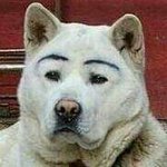 [19] <b>BL</b> 웹툰좀 추천해줄새럼,,?