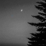 [ㅈㄱㄴ] 존잘숏컷<b>녀랑</b> 한 번 쯤은 사귀어보고 싶다