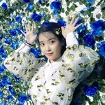 [댓글부탁해] 너희는 판에 생겼으면 하는 <b>규칙</b>들 있음?