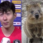 [손흥민] <b>흥미</b>니 방있는거 처음 알았다