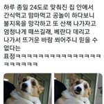 [댓글부탁해] 내가 너희들 <b>사주</b> 봐줄게