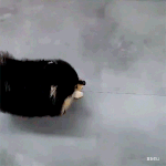 <b>방탄</b>이랑 <b>아미</b> 부러움,,