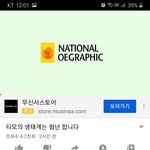 [댓글부탁해] 나만 <b>유</b><b>튜</b>부 댓글 이따구로 뜨냐