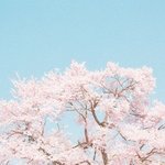 [남자의심리] 남자들이 좋아하는 여자 얼굴이 따로 있는듯